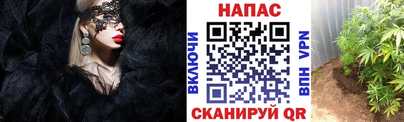 Канабис марихуана  гидра   это формула  где продают наркотики  Тюкалинск 